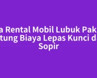 Jasa Rental Mobil Lubuk Pakam: Hitung Biaya Lepas Kunci dan Sopir