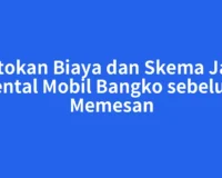 Patokan Biaya dan Skema Jasa Rental Mobil Bangko sebelum Memesan