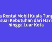 Jasa Rental Mobil Kuala Tungkal Sesuai Kebutuhan dari Harian hingga Luar Kota