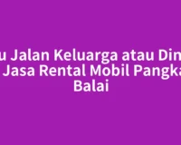 Mau Jalan Keluarga atau Dinas? Cek Jasa Rental Mobil Pangkalan Balai