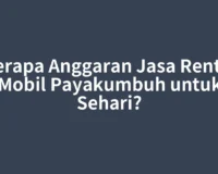 Berapa Anggaran Jasa Rental Mobil Payakumbuh untuk Sehari?