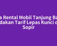 Jasa Rental Mobil Tanjung Balai: Bedakan Tarif Lepas Kunci dan Sopir