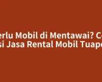 Perlu Mobil di Mentawai? Cek Opsi Jasa Rental Mobil Tuapejat