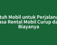 Butuh Mobil untuk Perjalanan? Jasa Rental Mobil Curup dan Biayanya