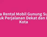 Jasa Rental Mobil Gunung Sugih untuk Perjalanan Dekat dan Luar Kota